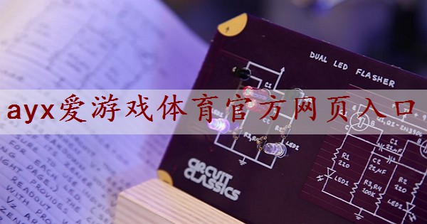上海汽车电子功率放大器的效率与功耗之间的关系是什么？