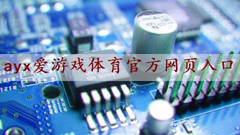了解汽车电子功率放大器生产厂的研发实力有哪些途径？